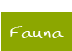 Fauna 