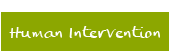 Human Intervention 
